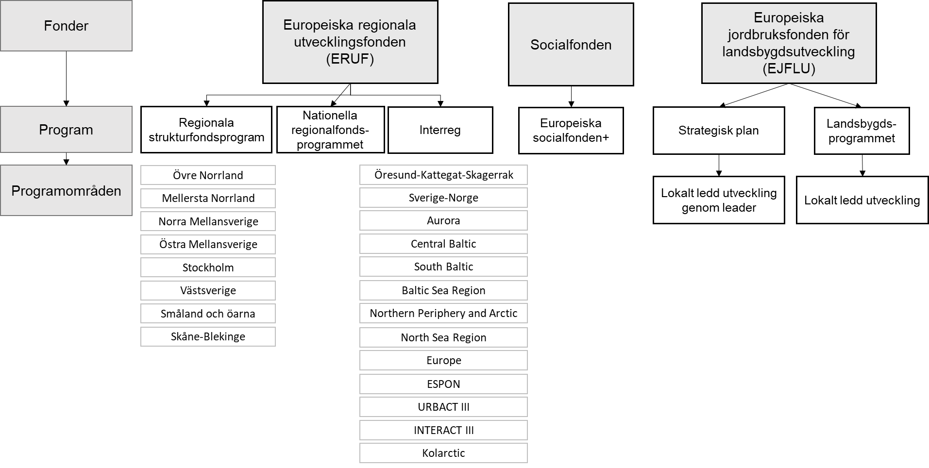 En bild som visar de fonder, program och programområden som undersöks i rapporten.